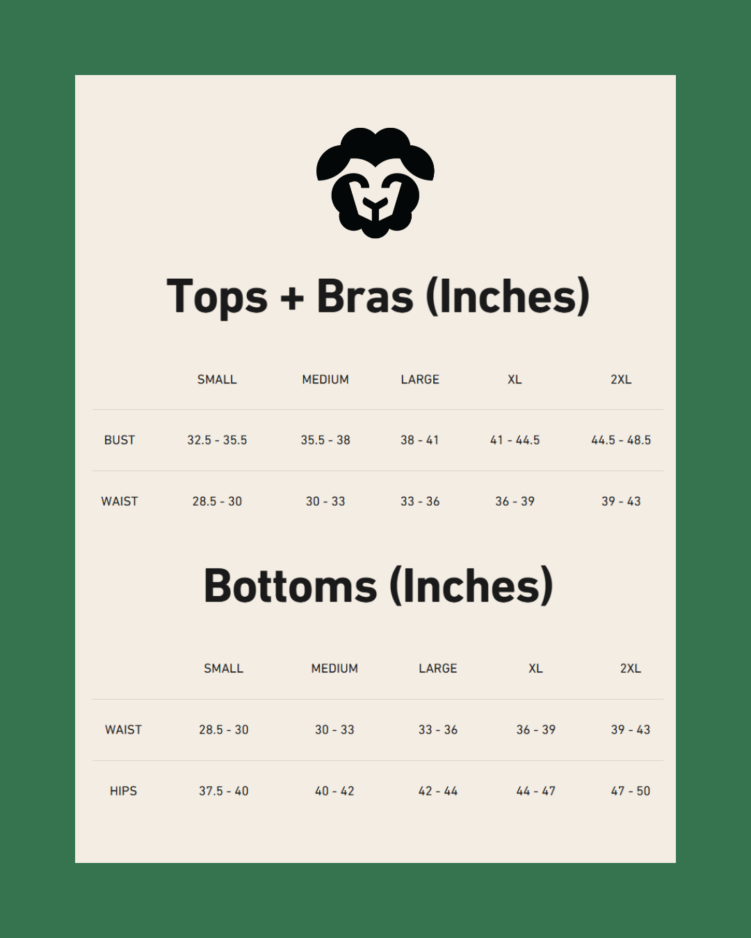 The Mystery Box - 8 Pack