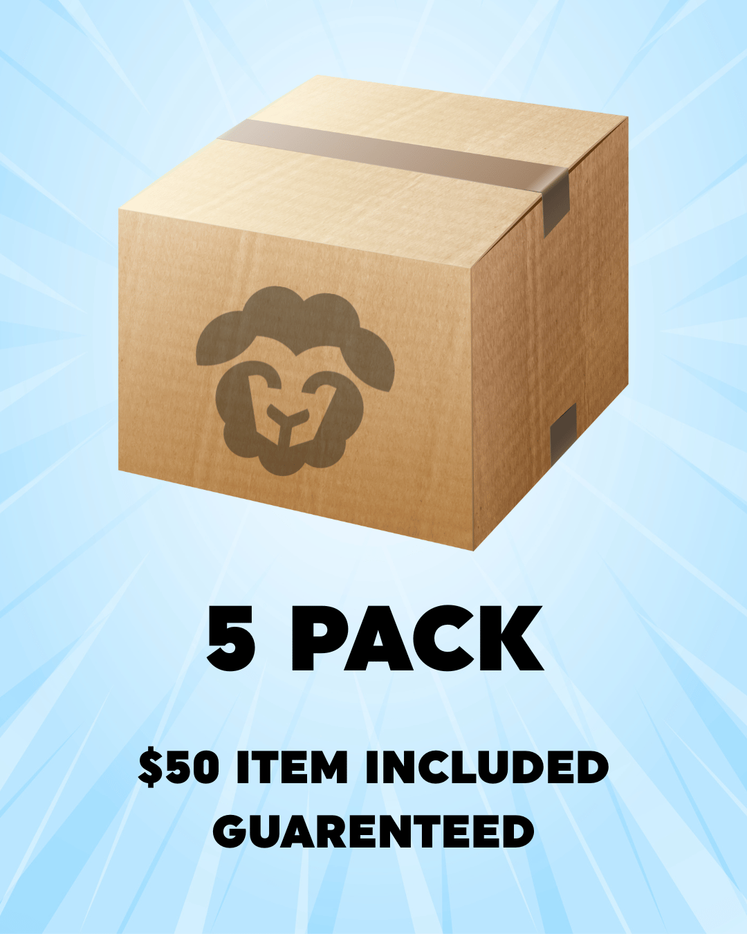 The Mystery Box - 5 Pack