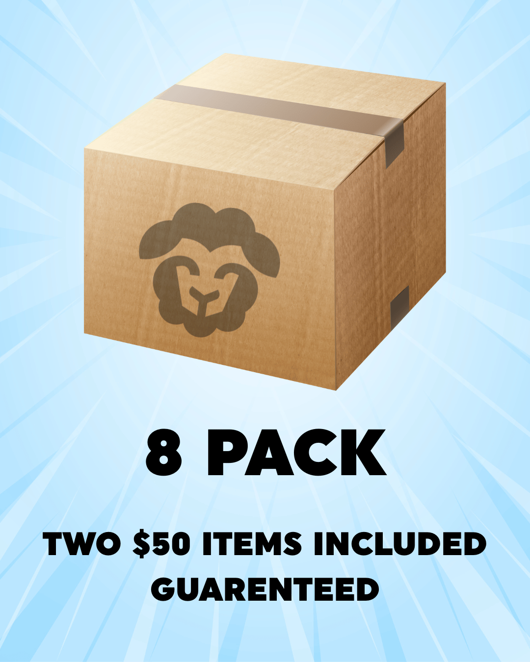 The Mystery Box - 8 Pack